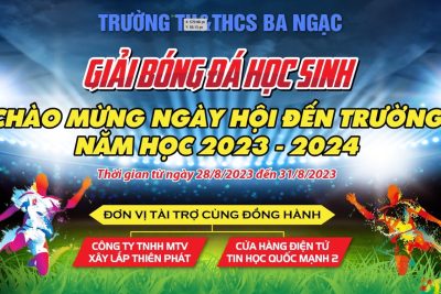 HOẠT ĐỘNG  GIAO LƯU BÓNG ĐÁ CHÀO MỪNG NGÀY HỘI ĐẾN TRƯỜNG KHAI GIẢNG NĂM HỌC MỚI 2023-2024